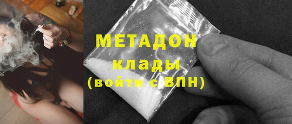 прущие грибы Богданович