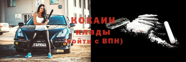 шишки Богородицк
