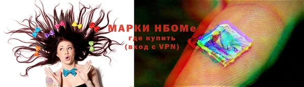 прущие грибы Богданович