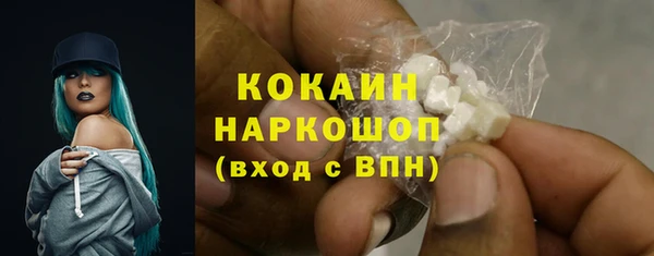 прущие грибы Богданович