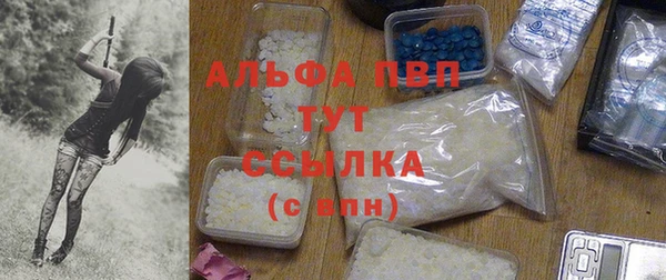 шишки Богородицк