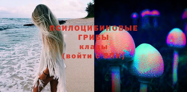 прущая мука Богородск