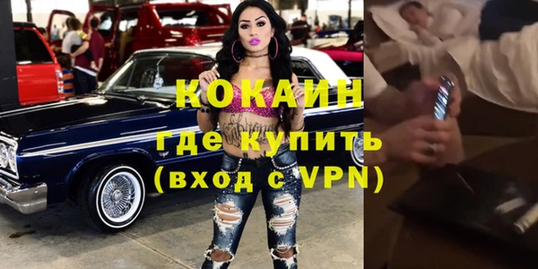 прущие грибы Богданович