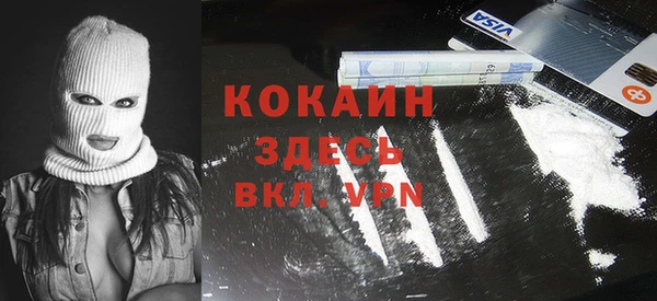 шишки Богородицк