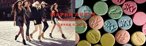 шишки Богородицк