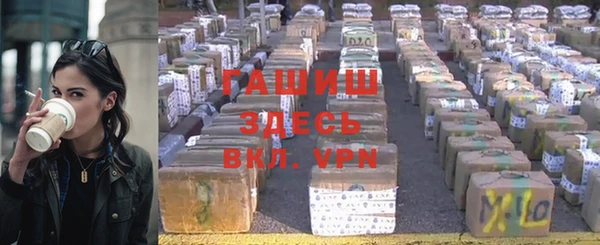 прущие грибы Богданович