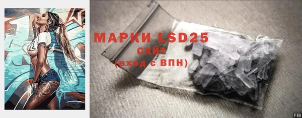 шишки Богородицк