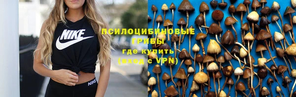 шишки Богородицк