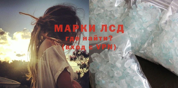 прущие грибы Богданович