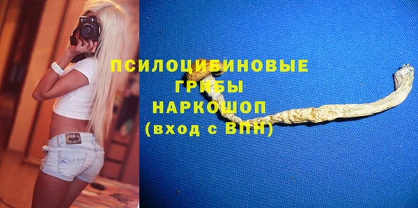 прущие грибы Богданович