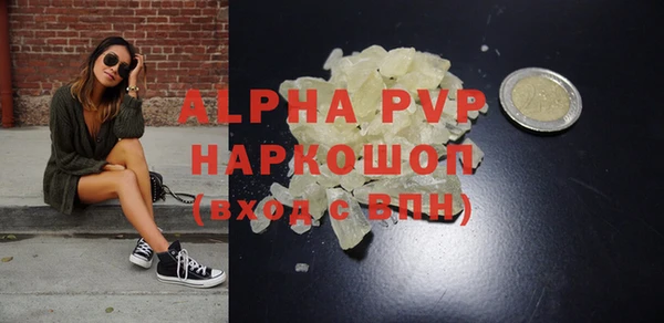 прущие грибы Богданович