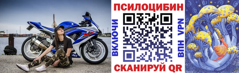 Псилоцибиновые грибы Psilocybine cubensis Малая Вишера